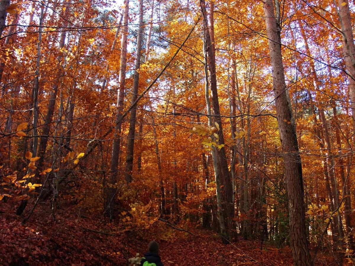 Le Vallon D'Armandine, Gite Ecologique Auvergne Saint-Hilaire  Екстер'єр фото
