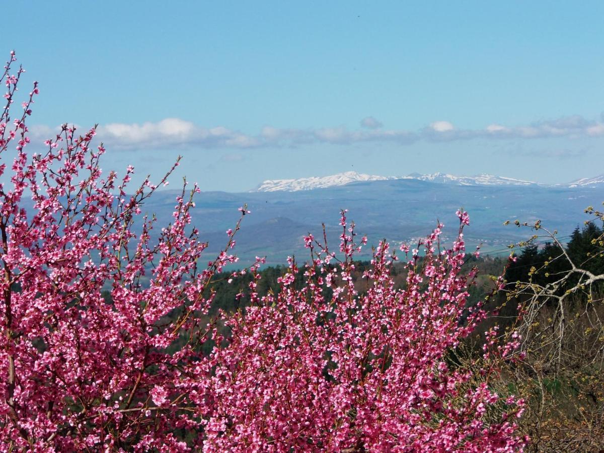 Le Vallon D'Armandine, Gite Ecologique Auvergne Saint-Hilaire  Екстер'єр фото